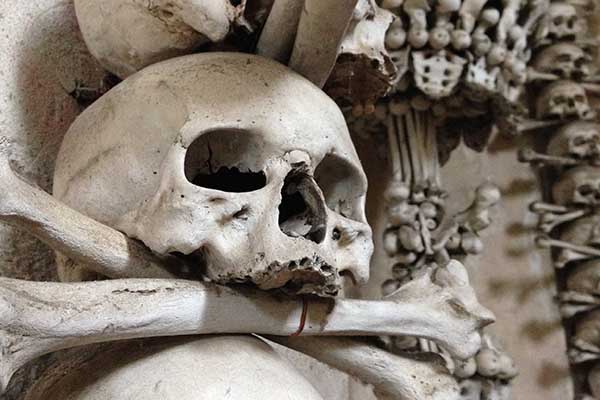 Things to do in rome