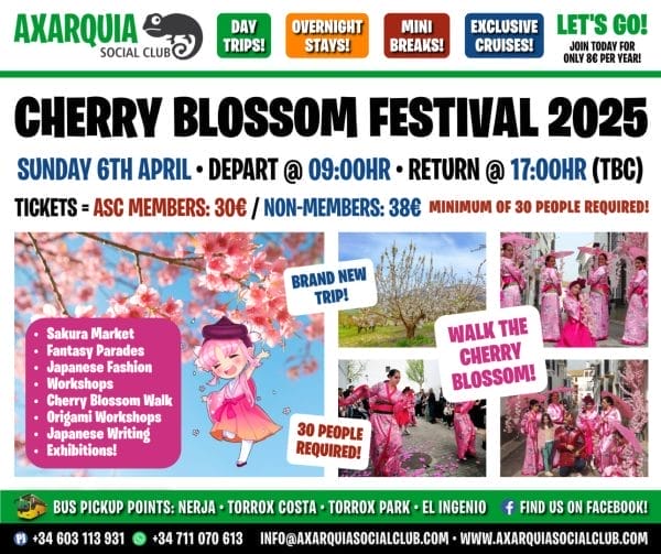 Cherry Blossom Festival 2025