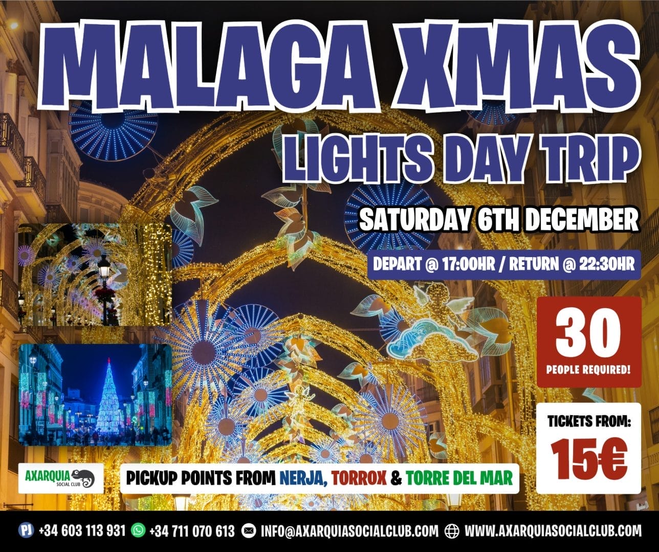 Asc malaga christmas lights 06 12
