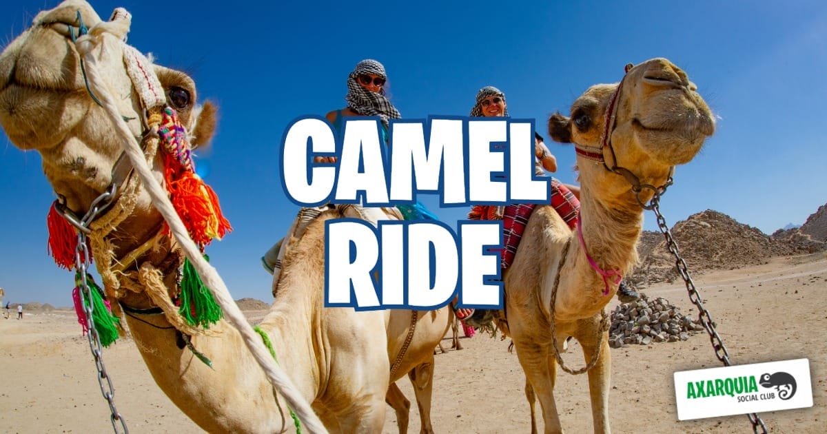 Asc discover morocco mini break camels