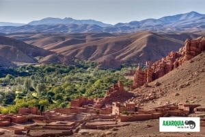 Dades